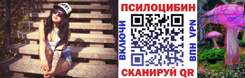 Купить где  Любим  Псилоцибиновые грибы GOLDEN TEACHER 